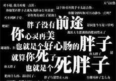 笔芯胖丁magnet
